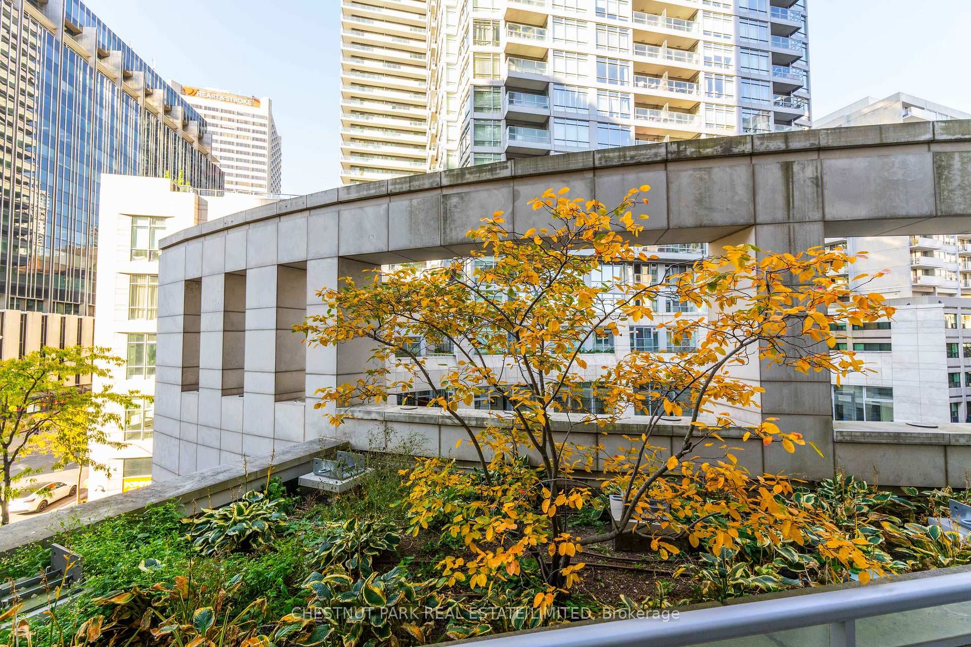 2181 Yonge Street Unit 311 photo 19