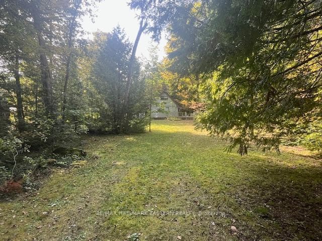 17/19 Rustic Road photo 4