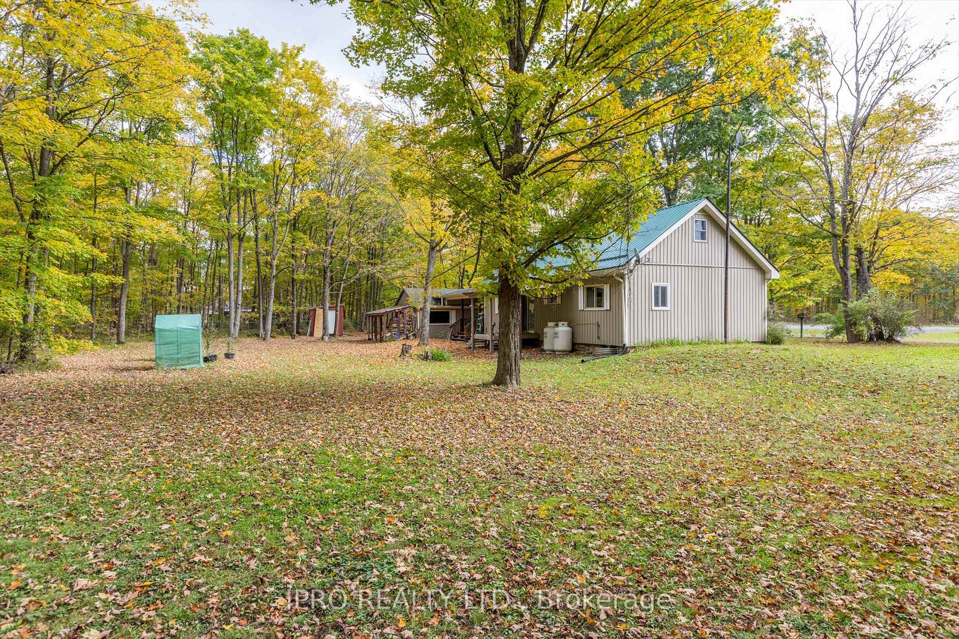 3857 County Rd 36 Road photo 36