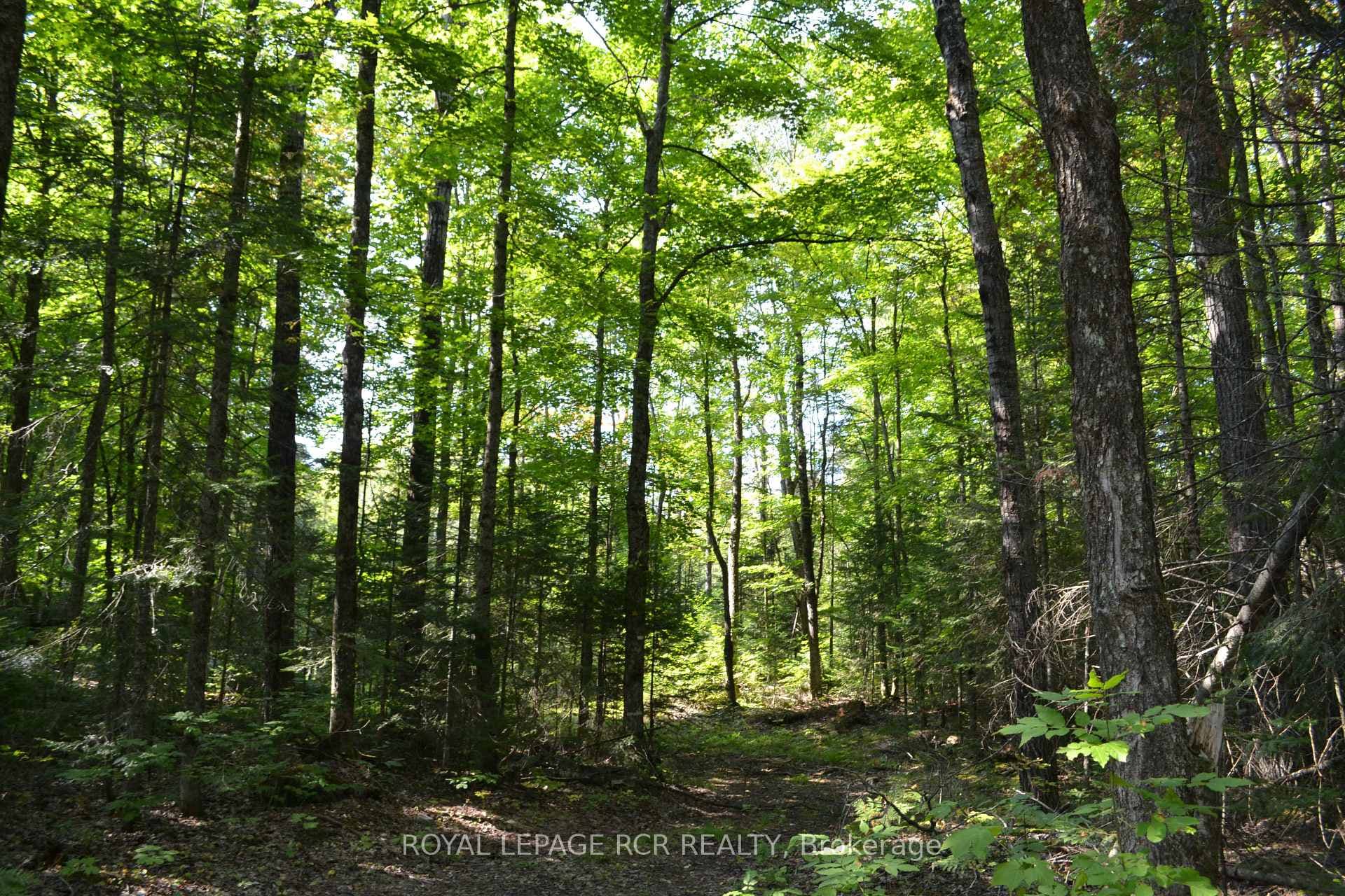 Lot 35 Glamor Lake Road photo 4