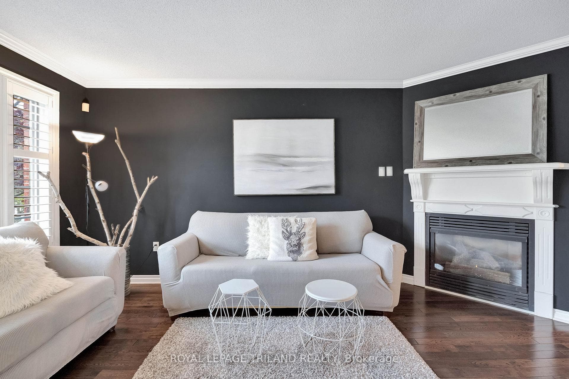 Living Room (gas fireplace)