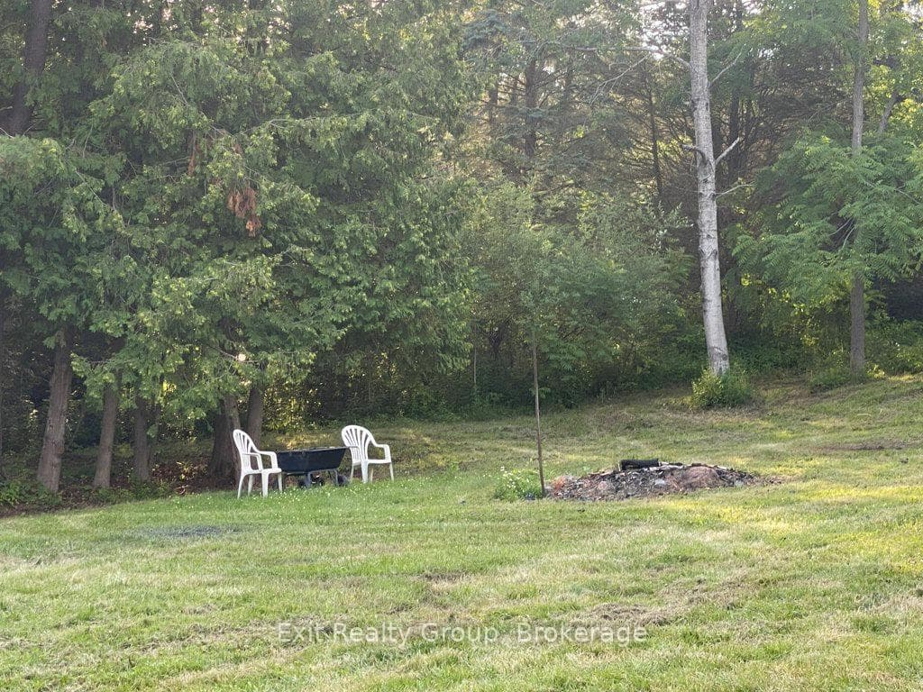 Enjoy roasting marshmallows in the back yard!