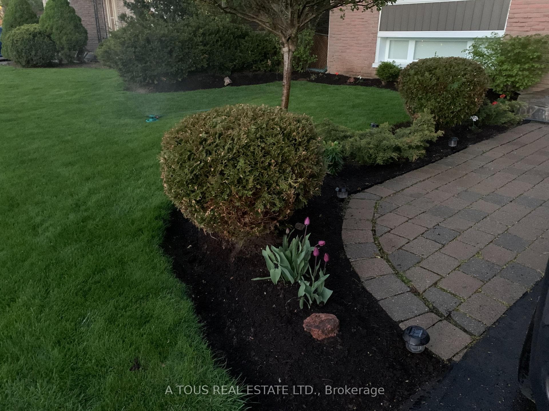 11 Edwin Drive photo 21