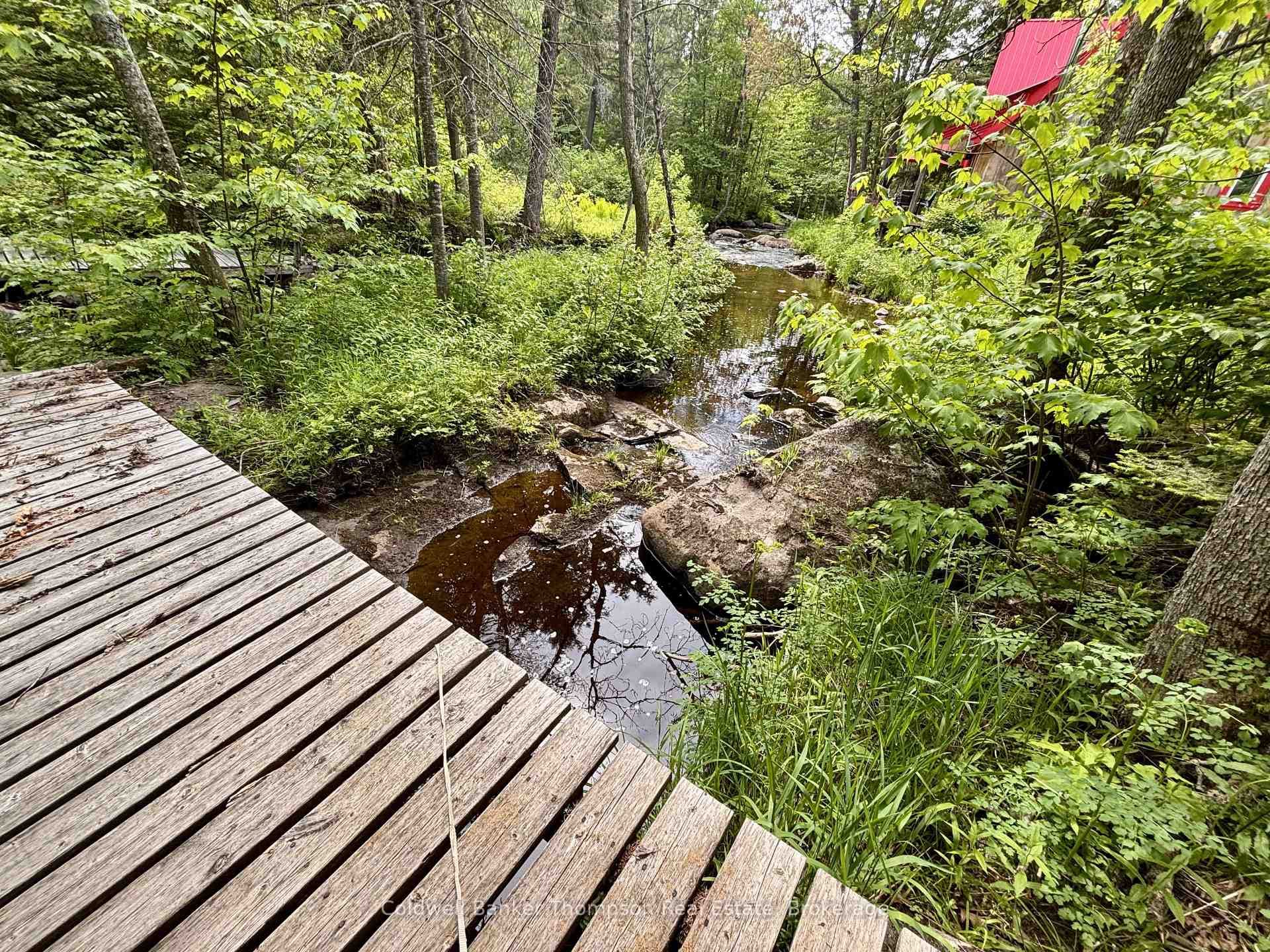 63 Forestry Road photo 13