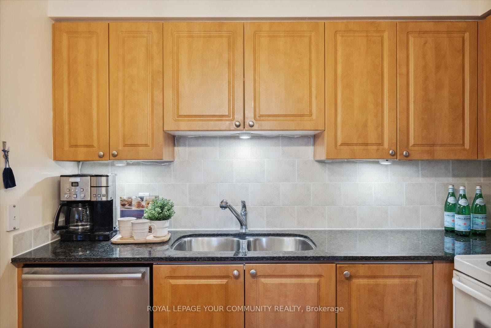 1103 Leslie Street Unit 1006 photo 6