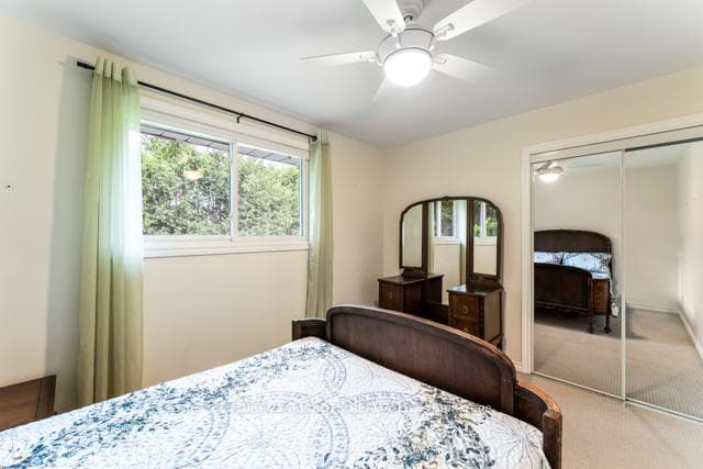 56 Goldie Drive photo 16