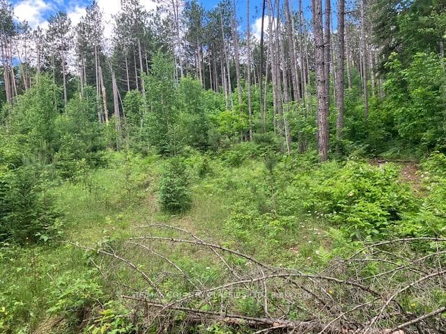 6732 County Road 620 N/A photo 15