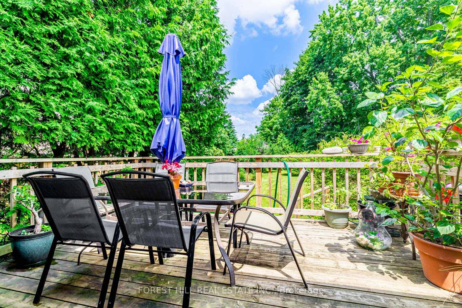 54 Dallas Road photo 17