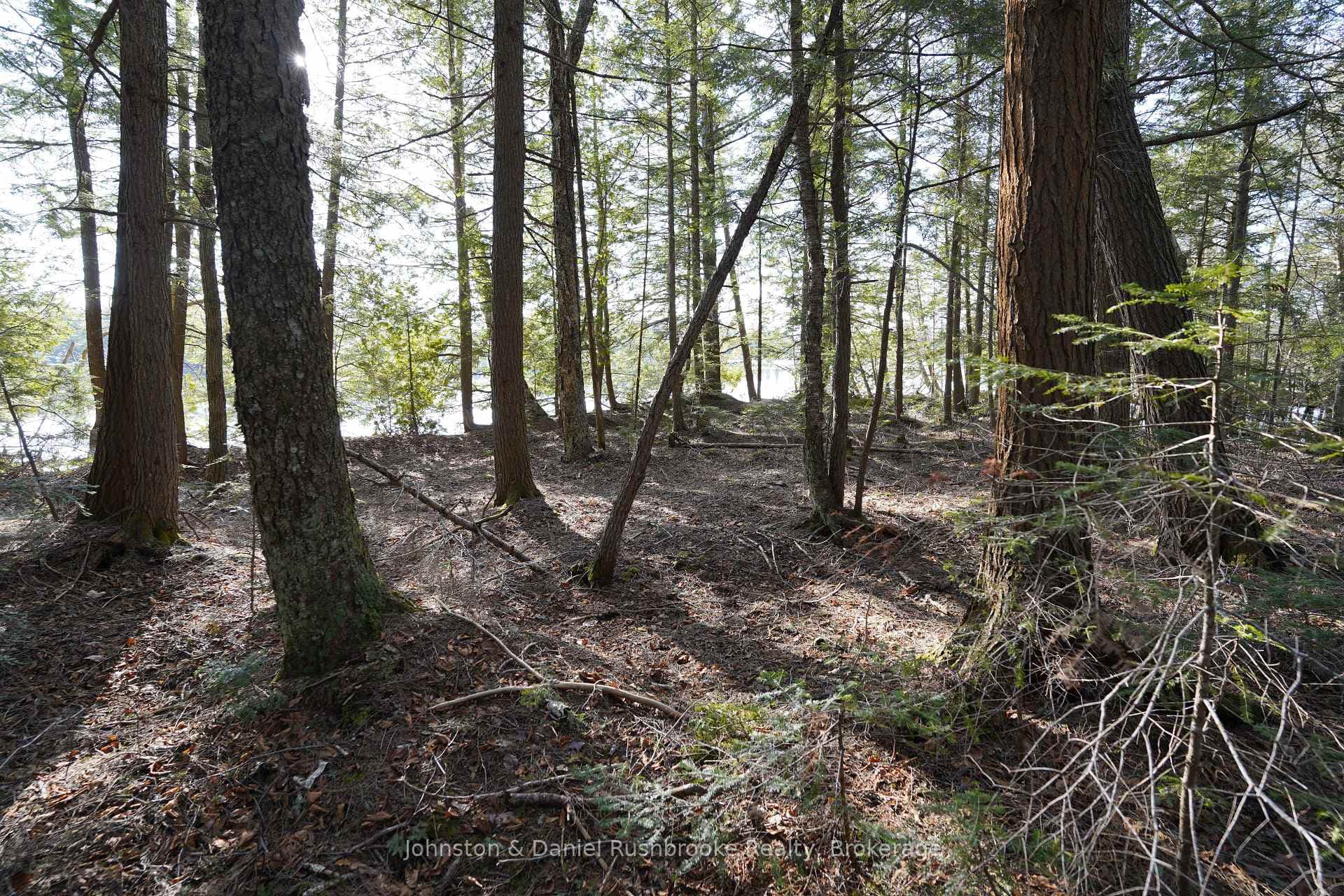 Lot 1 West Bear Lake Road photo 16