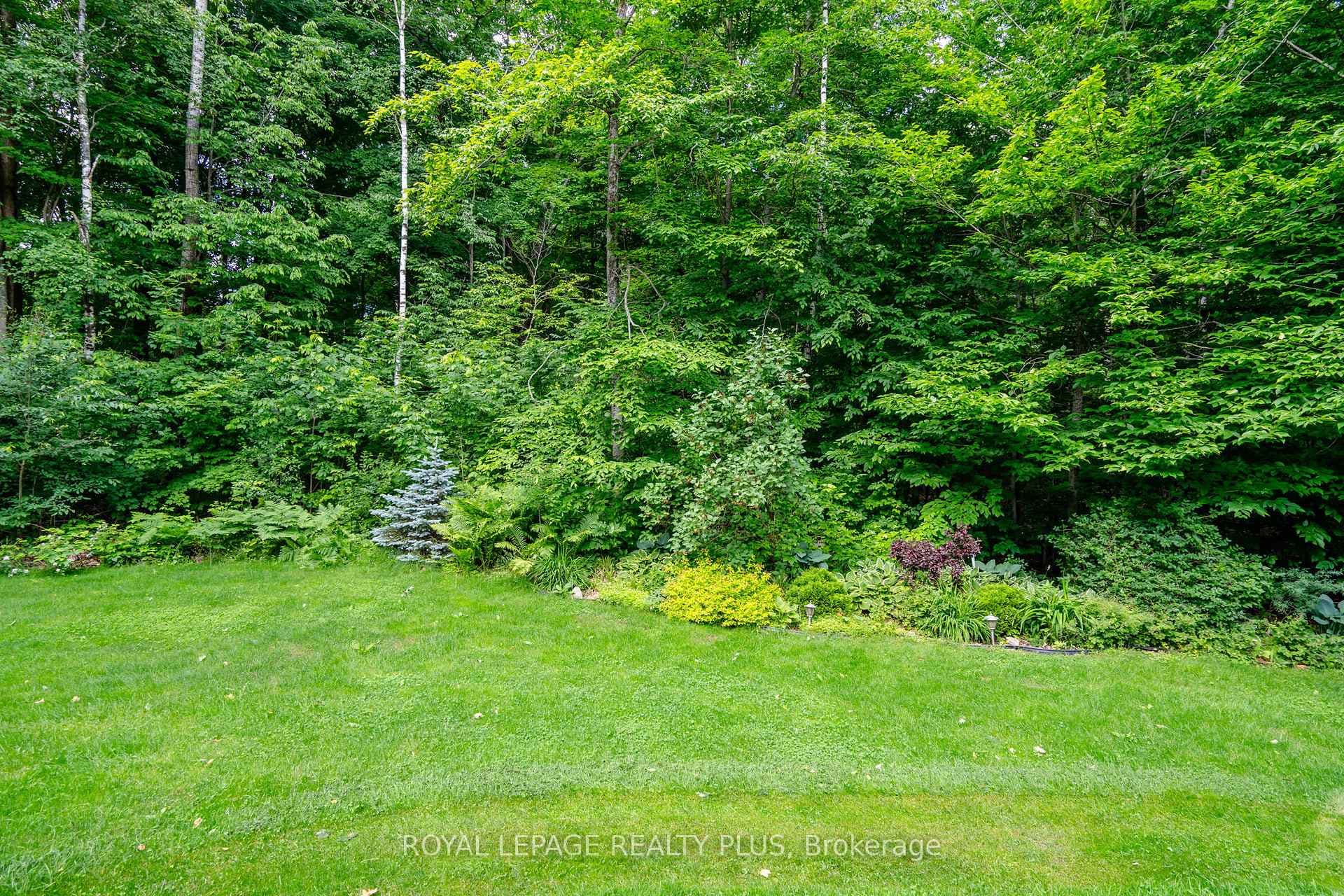 10 Meadowbrook Boulevard photo 27