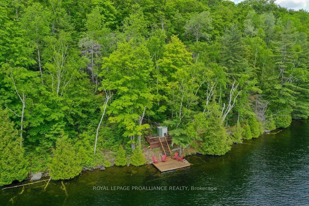 1066 Tower Lane photo 35