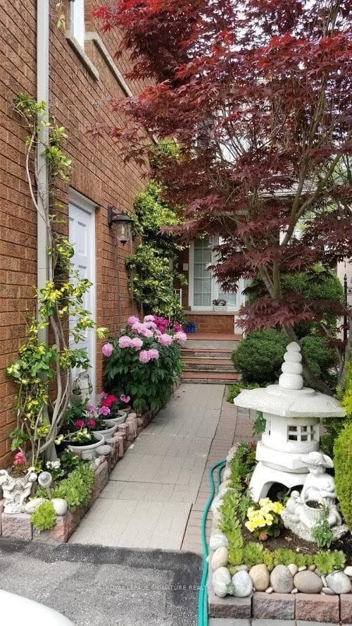 Blooming Garden In Summer