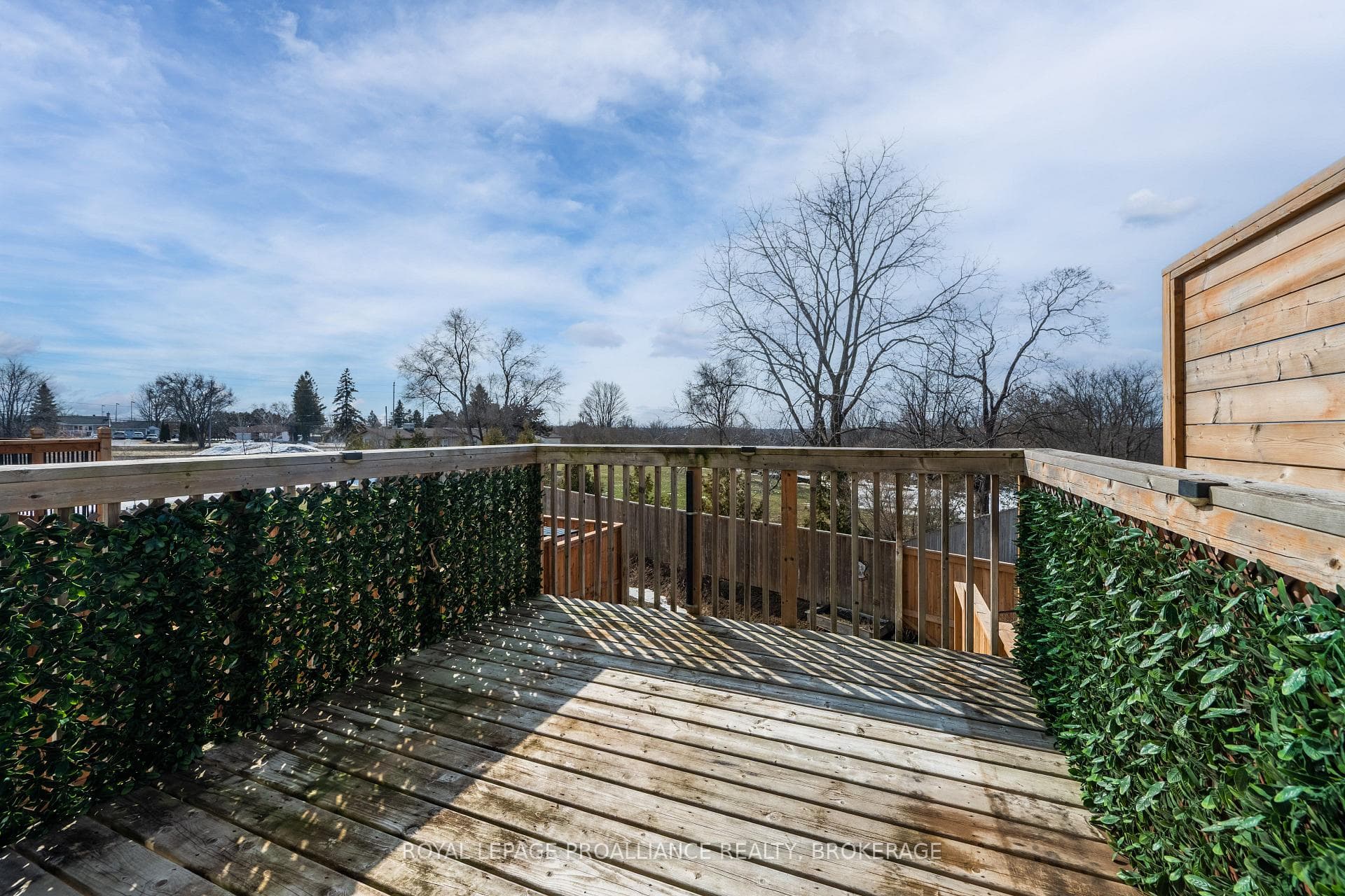 953 Blossom Street photo 35