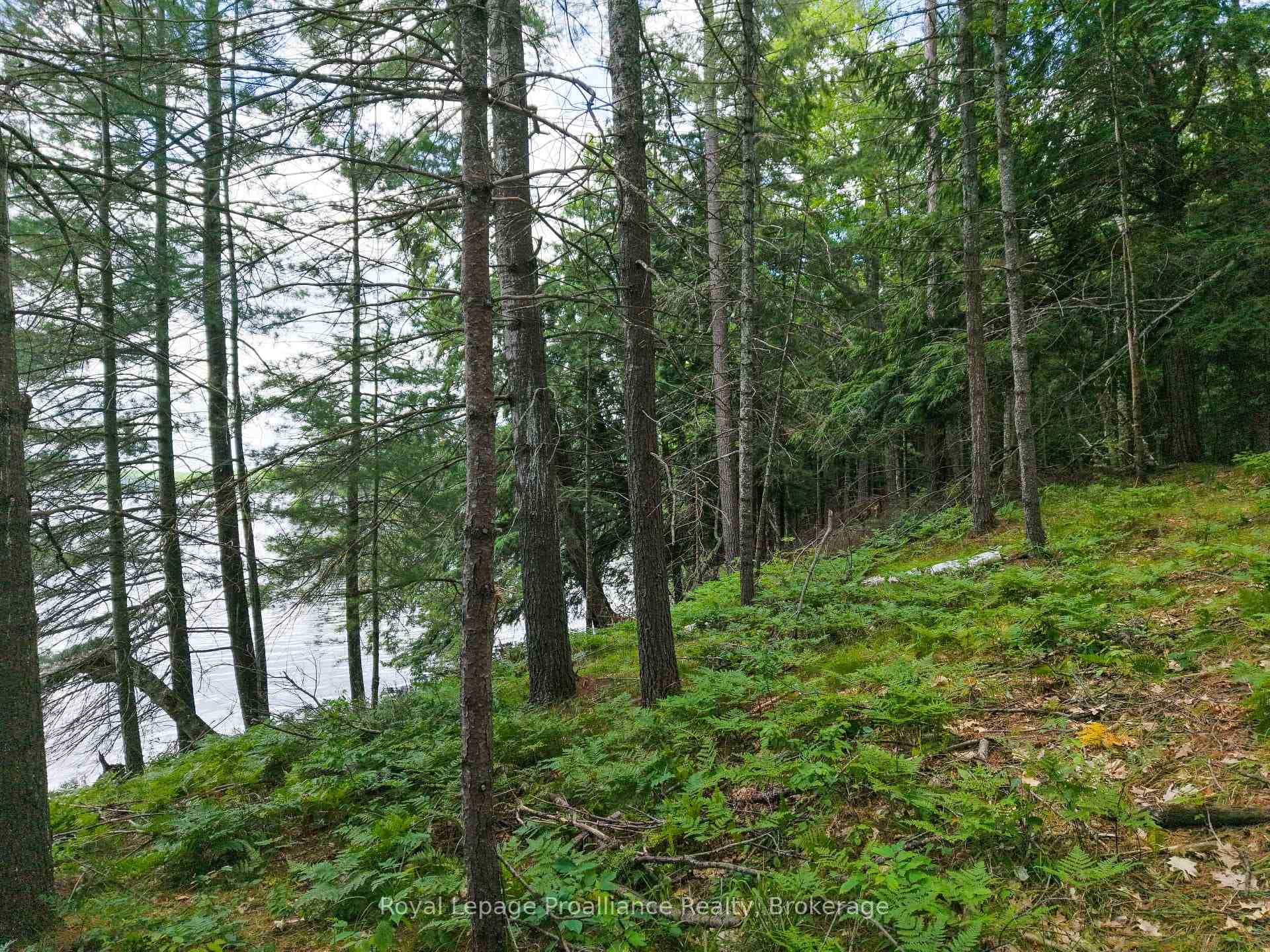 1 WAO Kasshabog Lake N/A photo 32