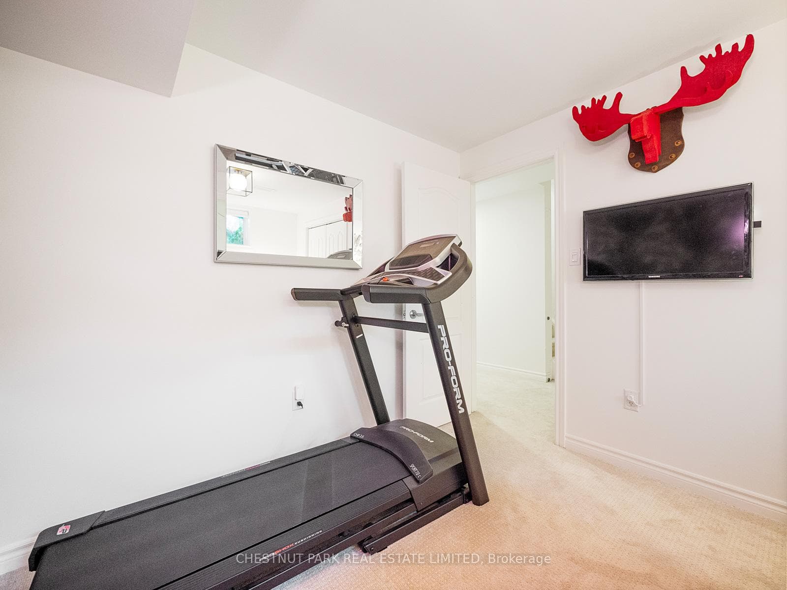 64 Haig Avenue photo 30