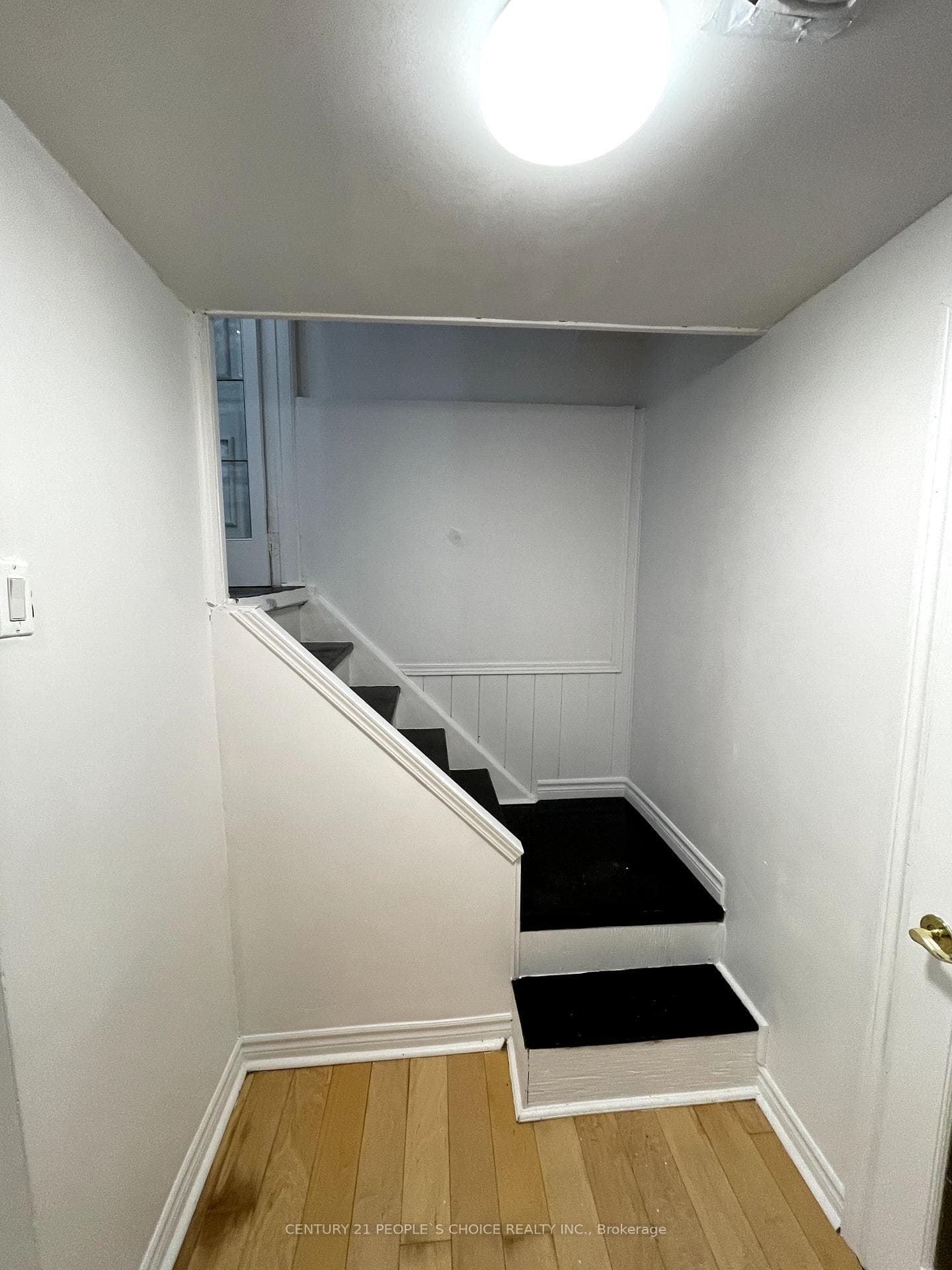 146 Delaney Drive photo 18