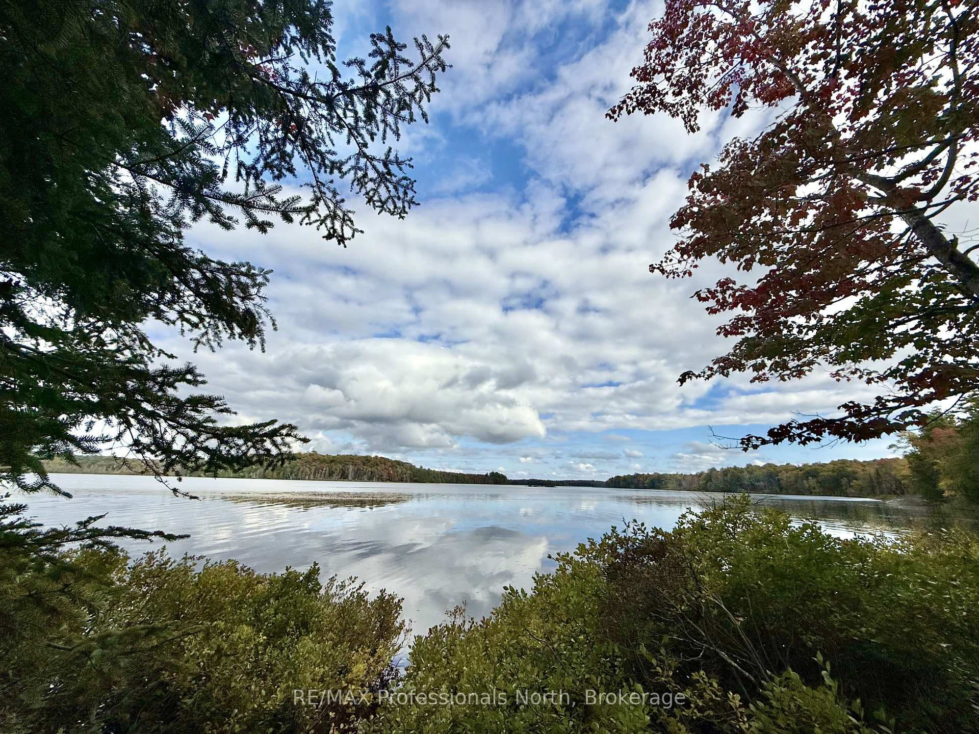 9 Woodland Drive photo 4