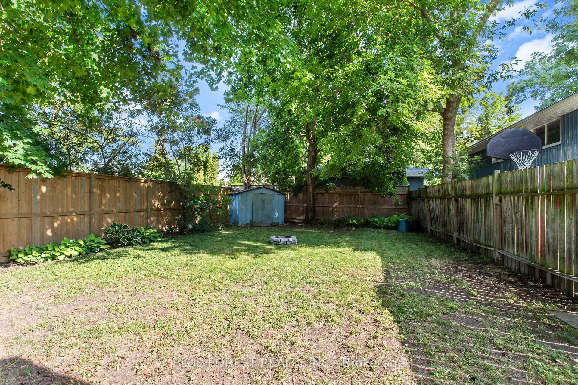 295 Buller Street photo 47