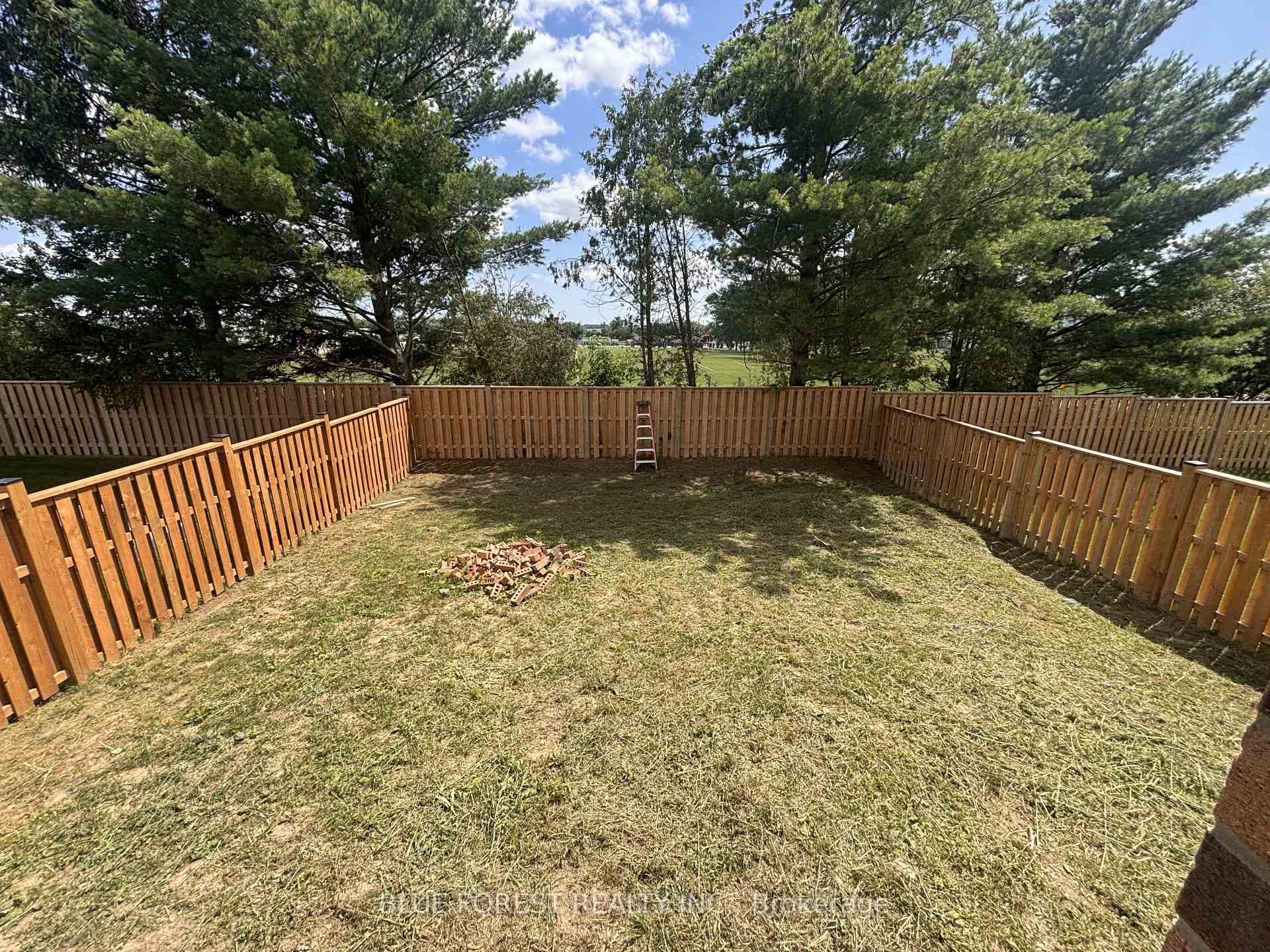 288 Ashford Street photo 2