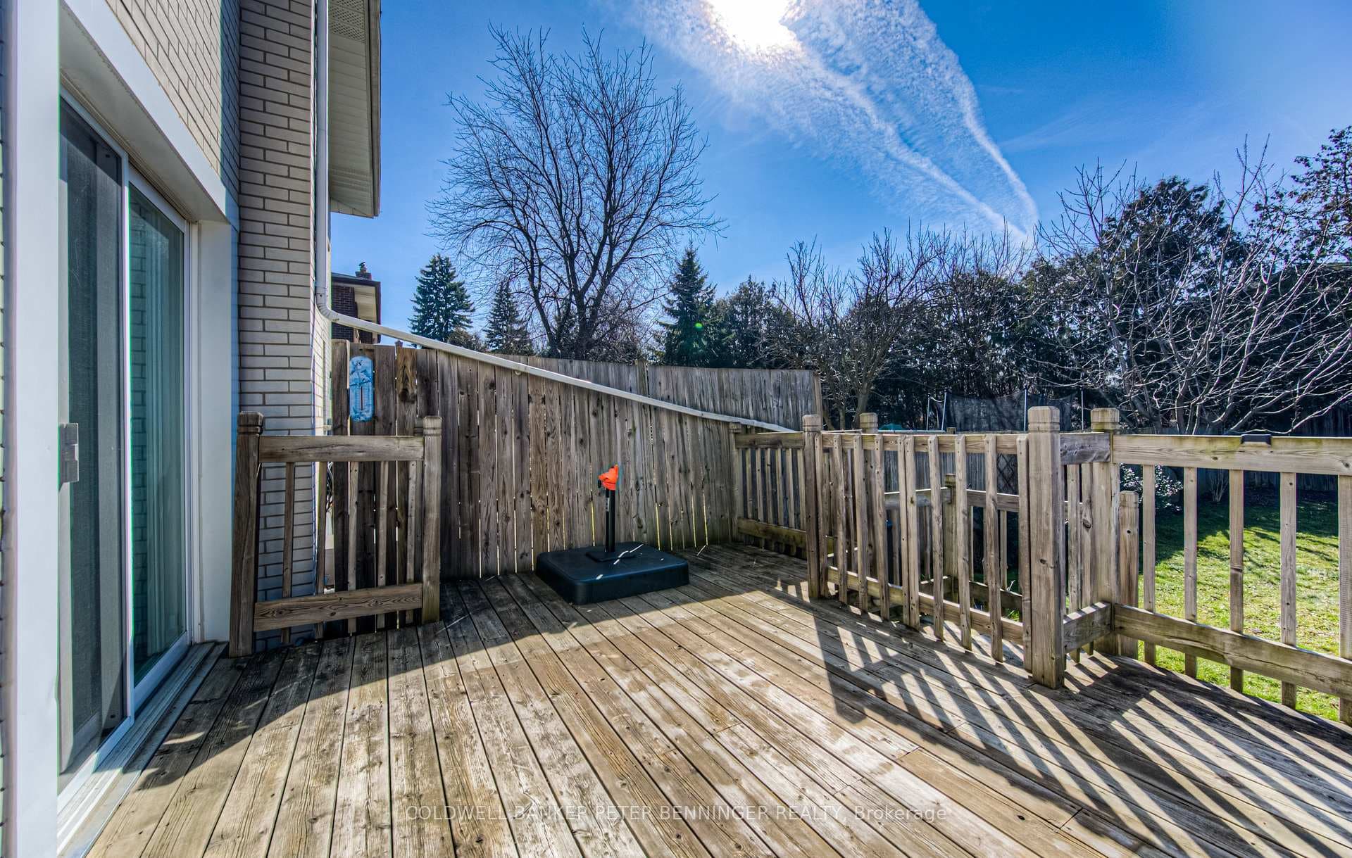 41 Cecile Drive photo 23