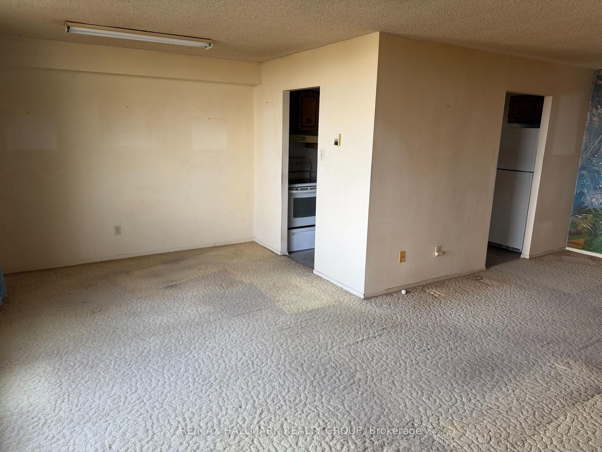 665 Bathgate Drive Unit 1007 photo 6