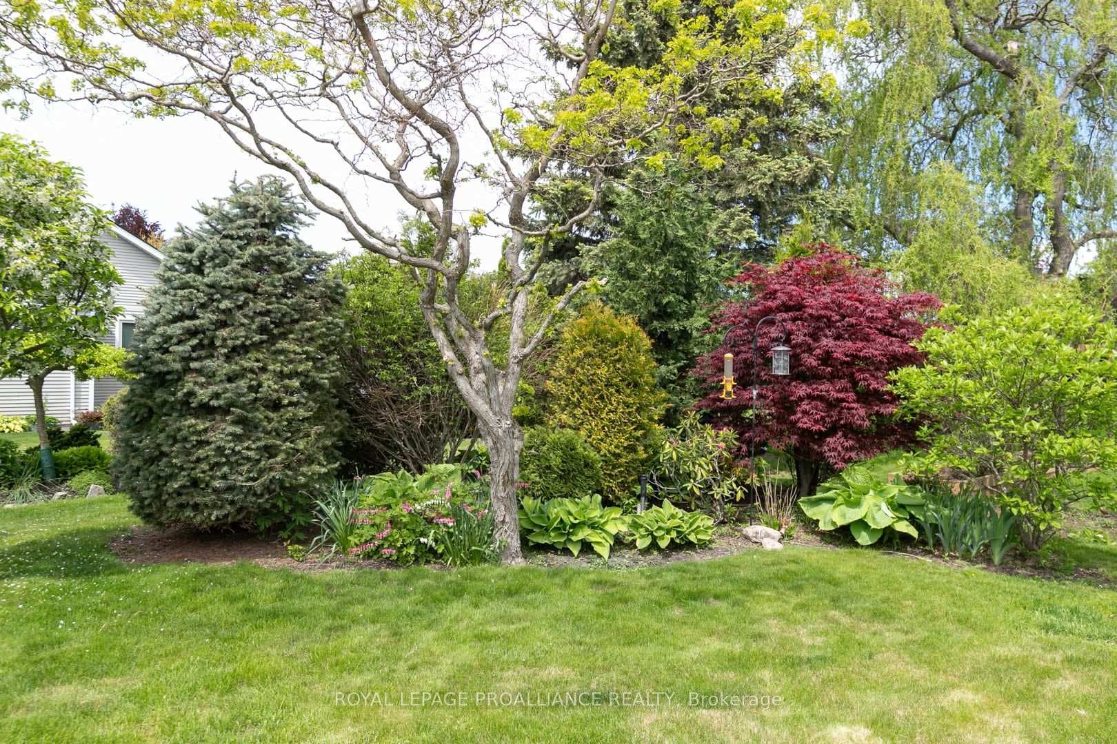 12 Mills Road photo 37