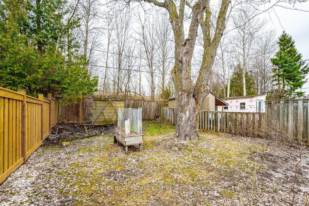 42 Erindale Avenue photo 20