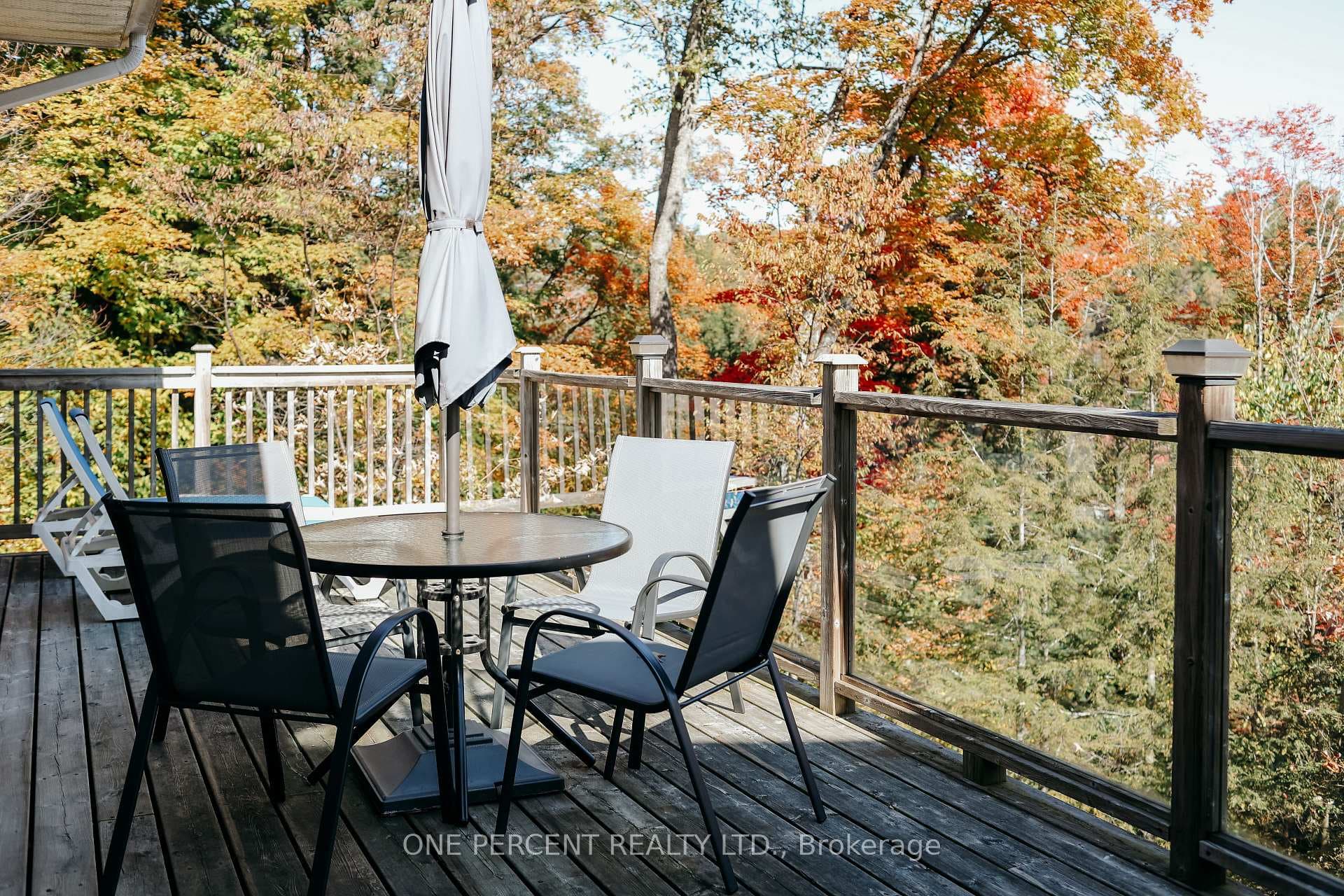 155 Charlies Lane photo 20