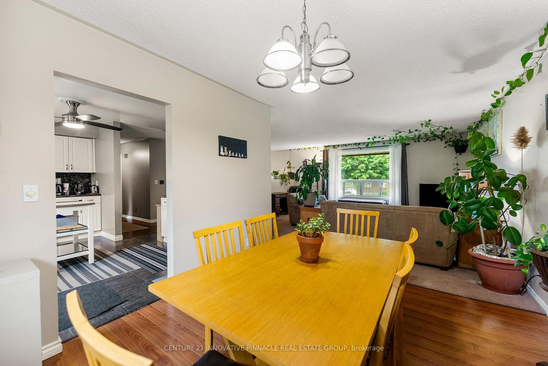 594 Herbert Street photo 9