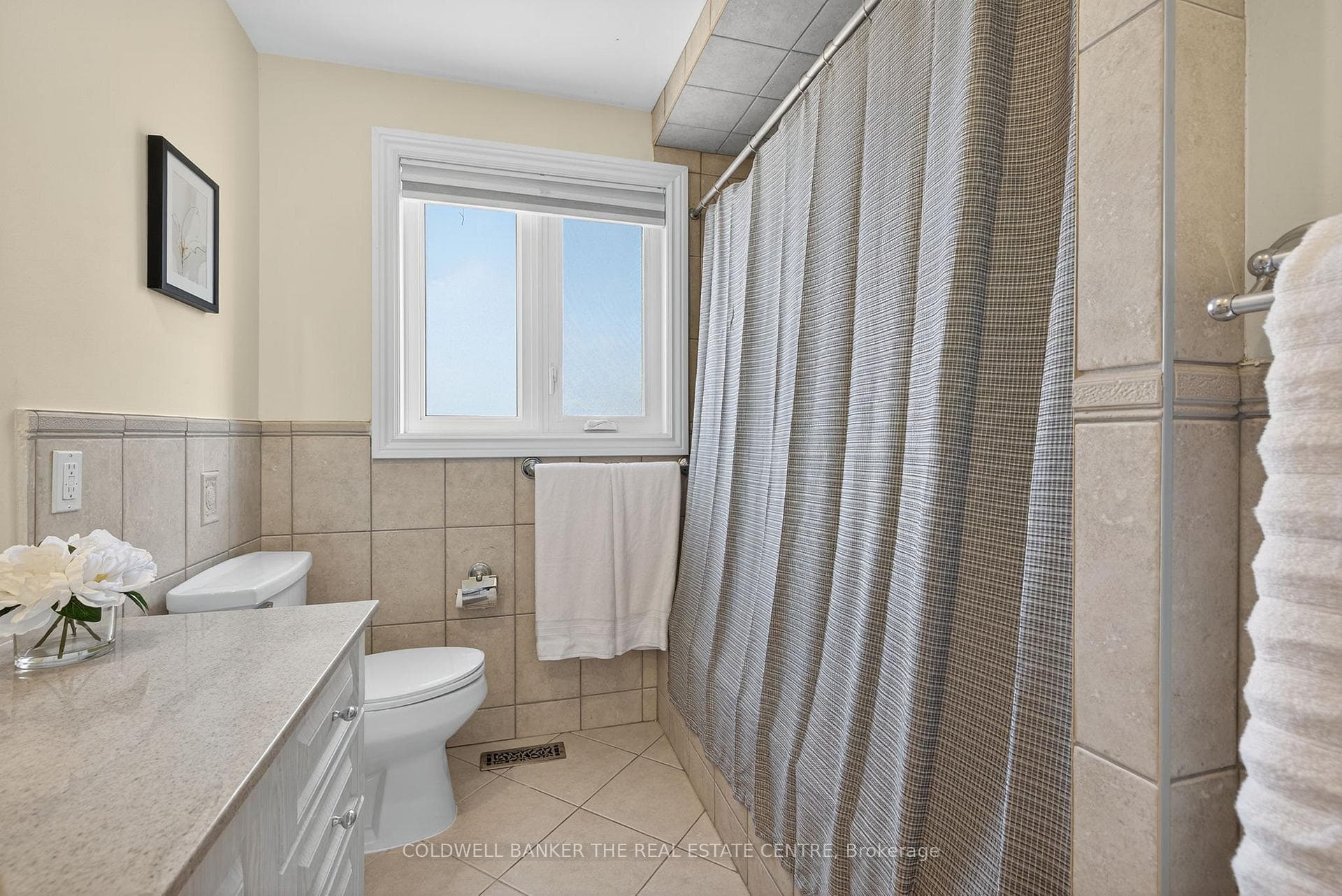 204 Alexander Road photo 19
