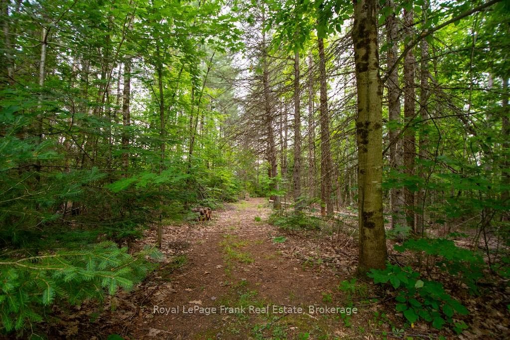 3719 County Rd 507 Road photo 42