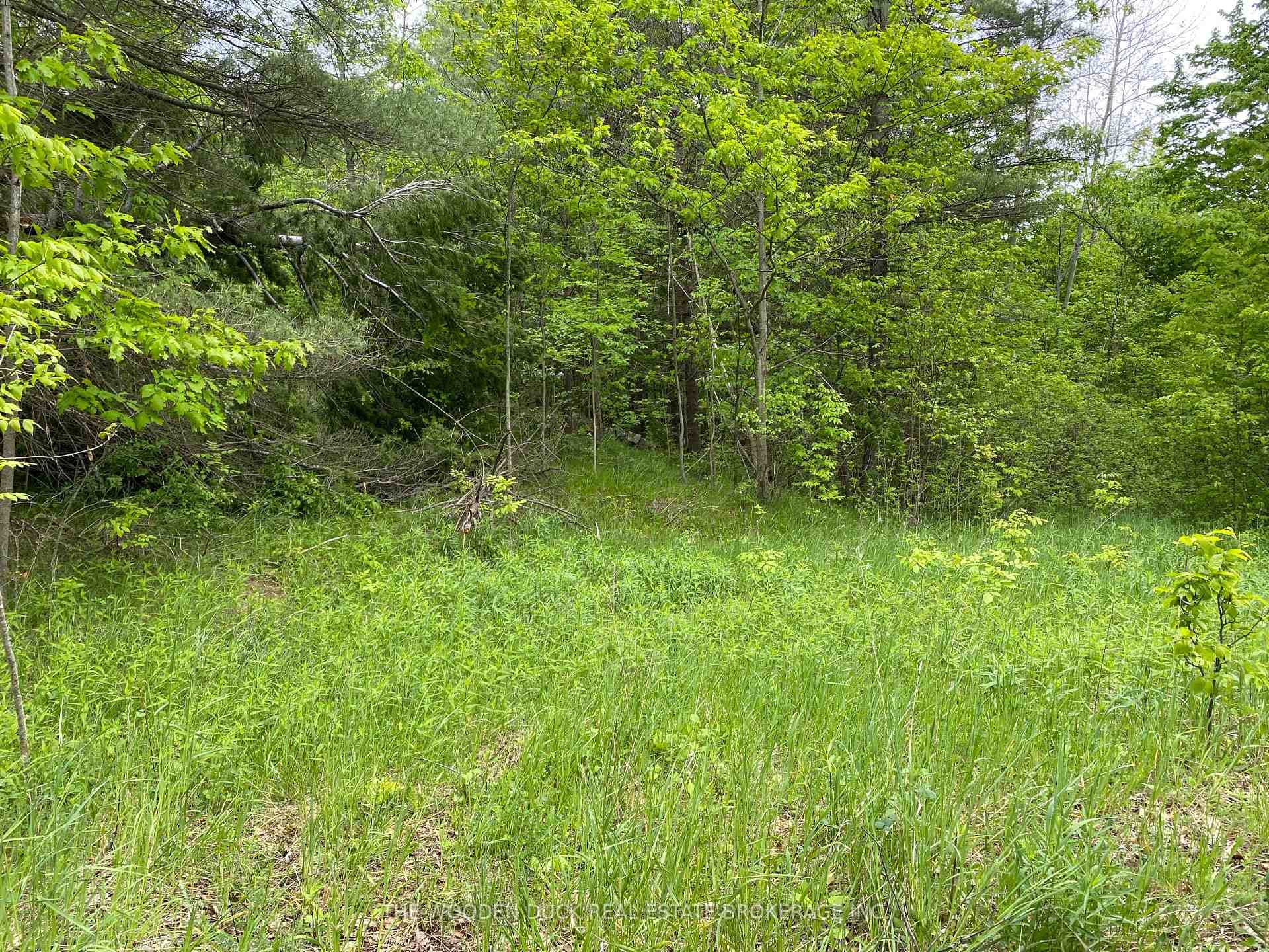 1915 County Road 48 Road photo 1