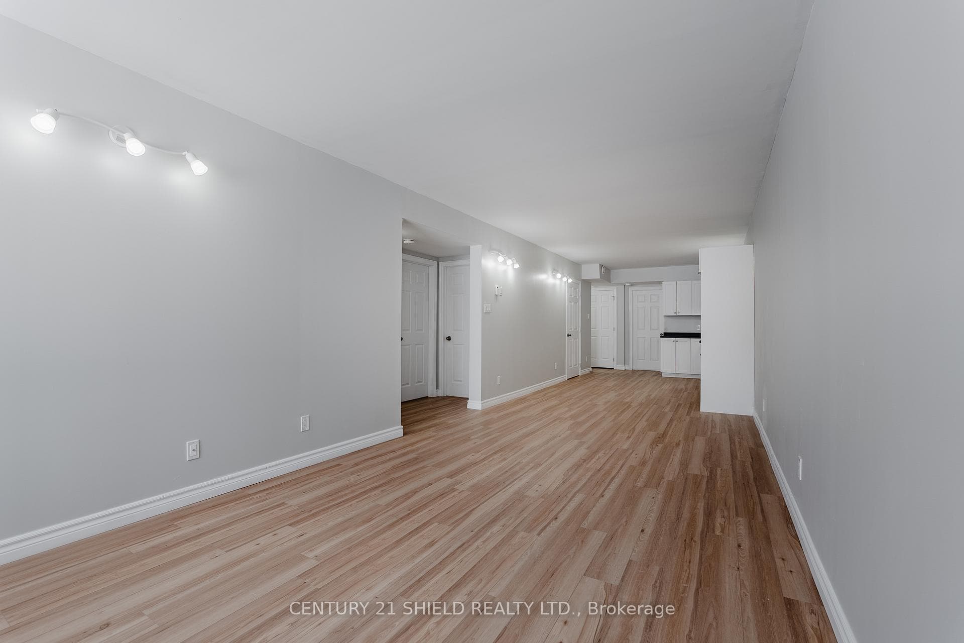 7 William Street photo 35