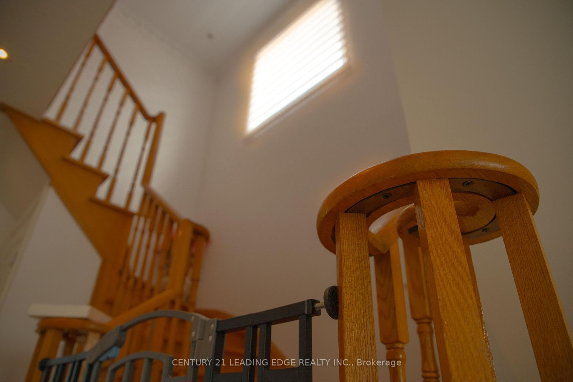 20 Del Francesco Way photo 12