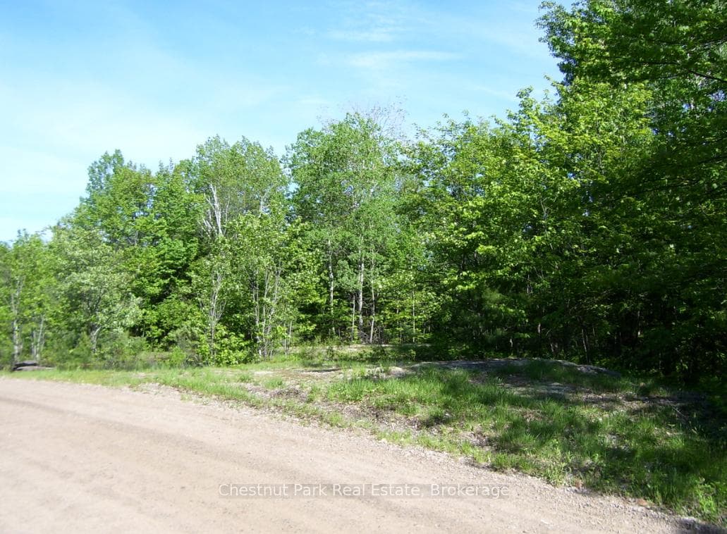 View from road