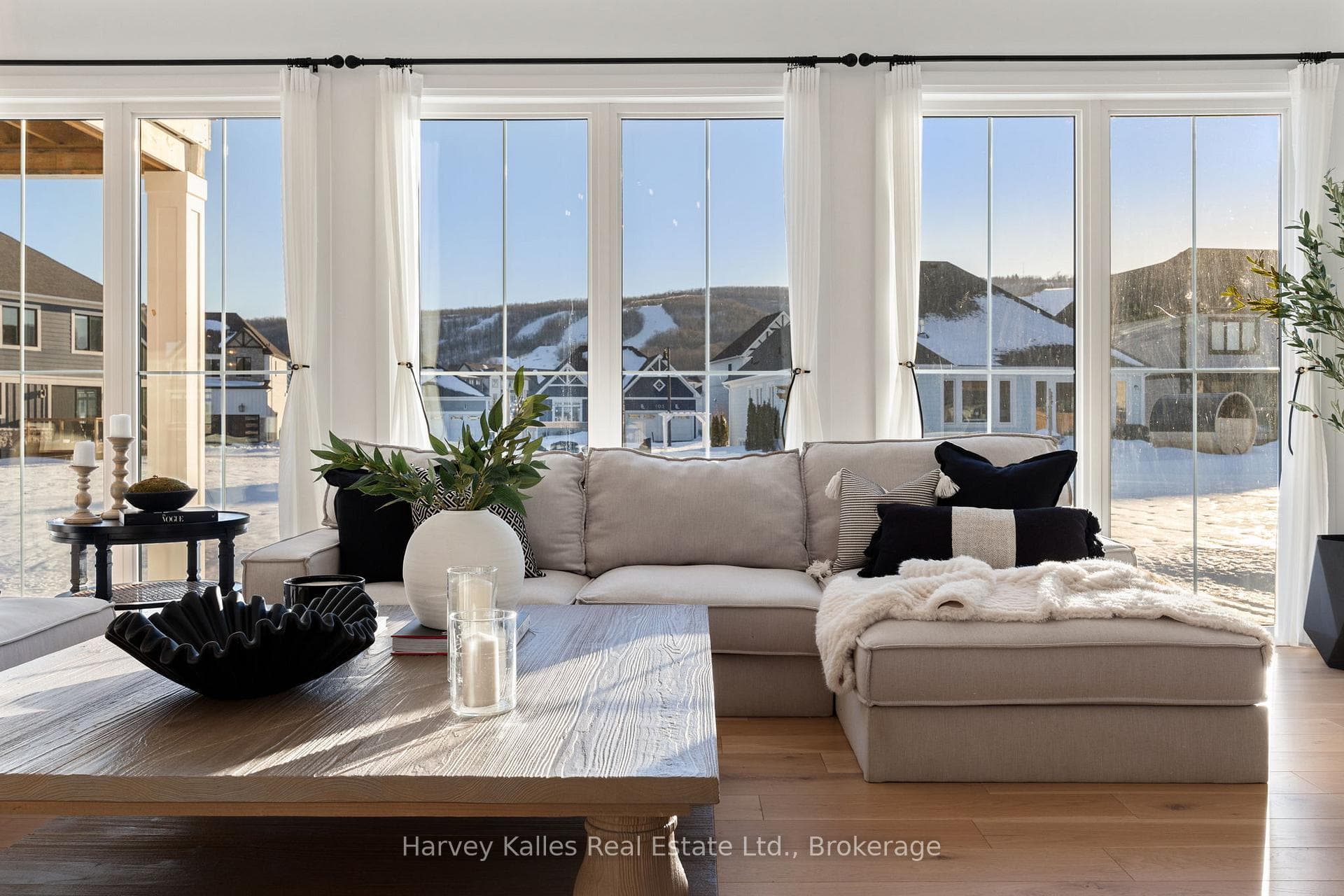 Gorgeous windows with tons of natural light