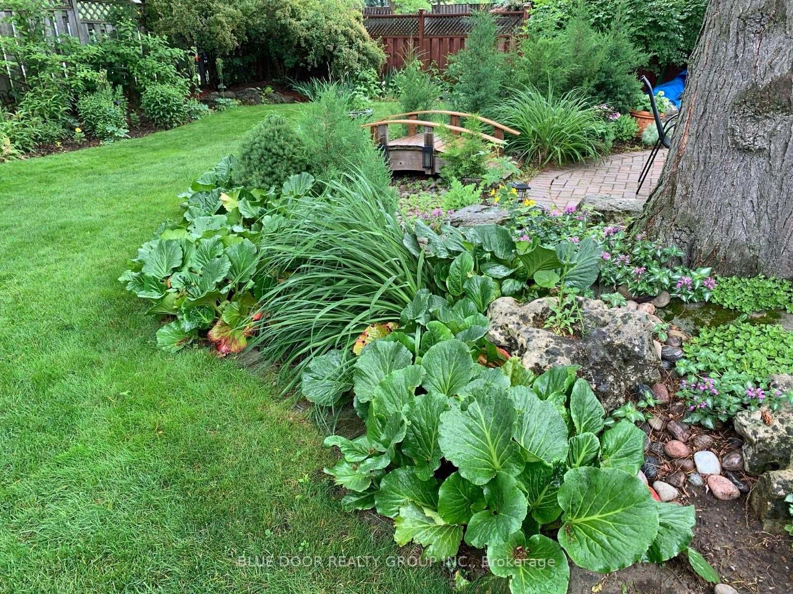 Yard in Bloom