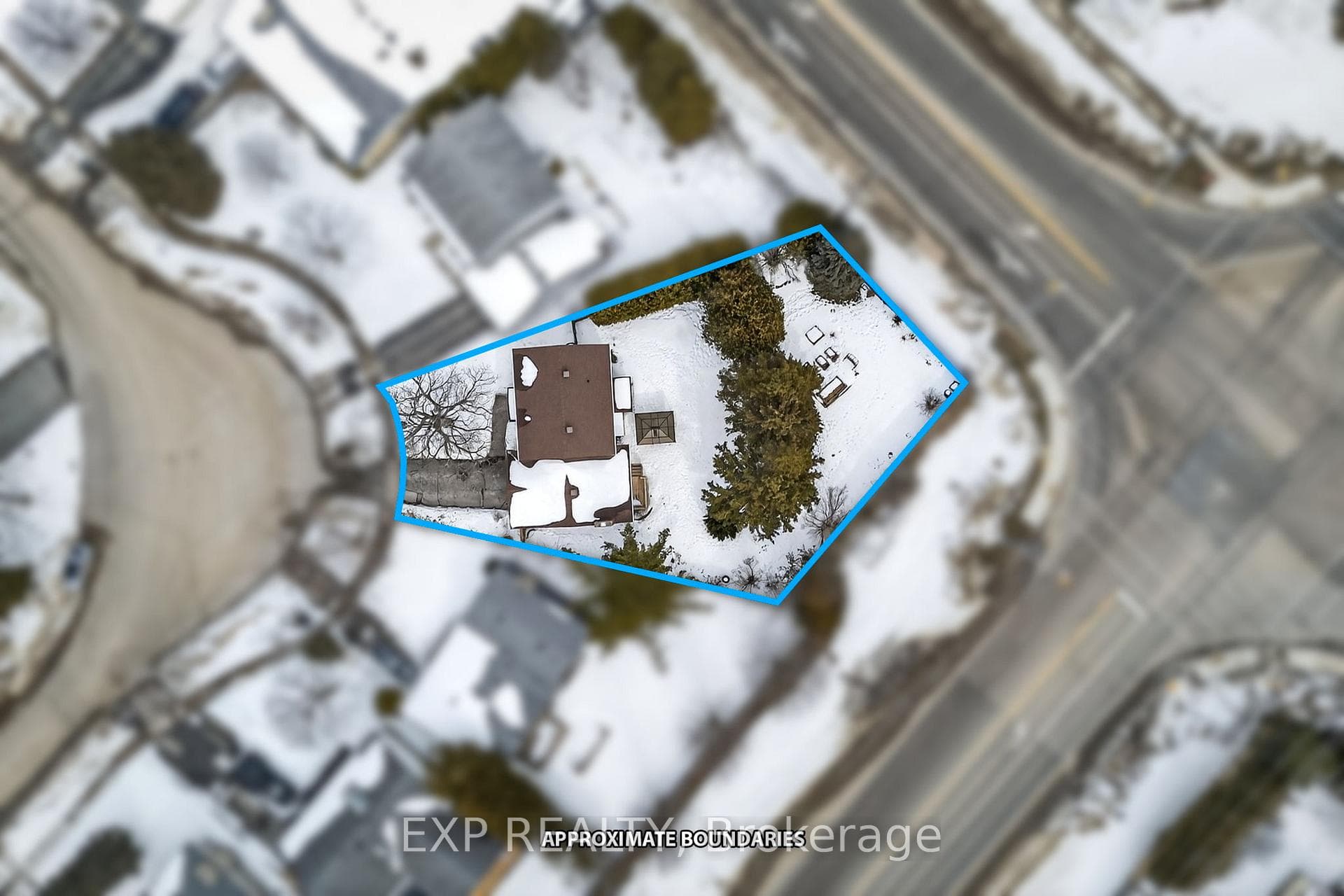 783 Safari Drive photo 5