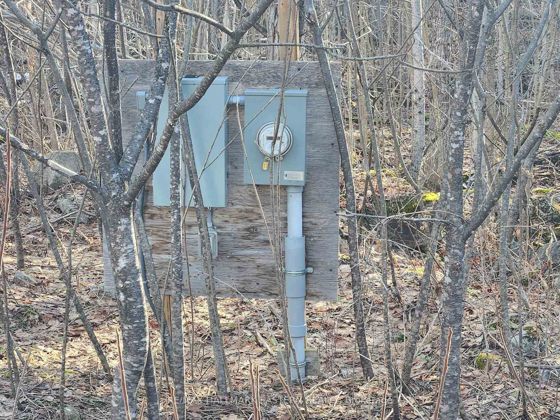 3037 Finley Road photo 4