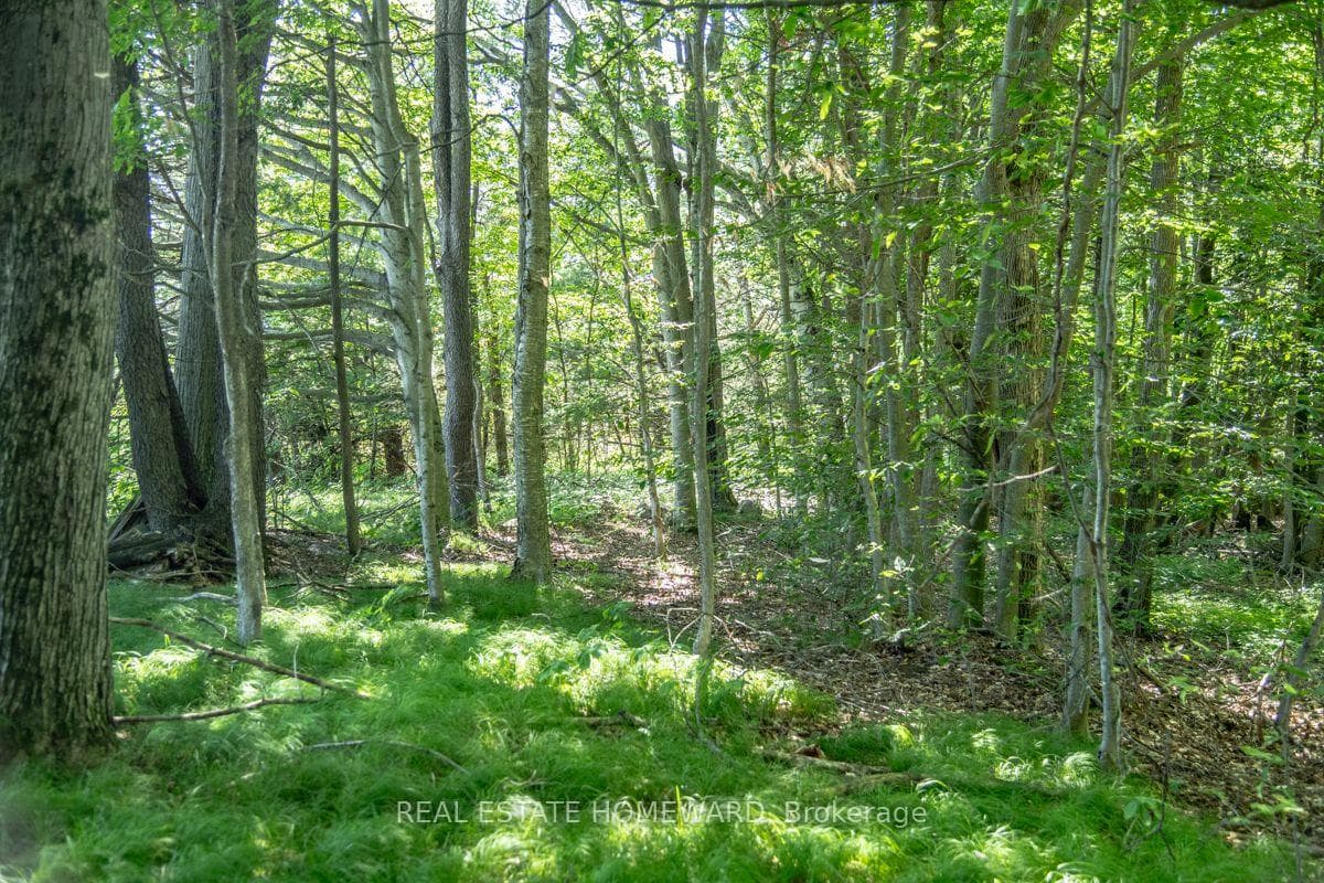 PT 1 Boyce Road photo 31