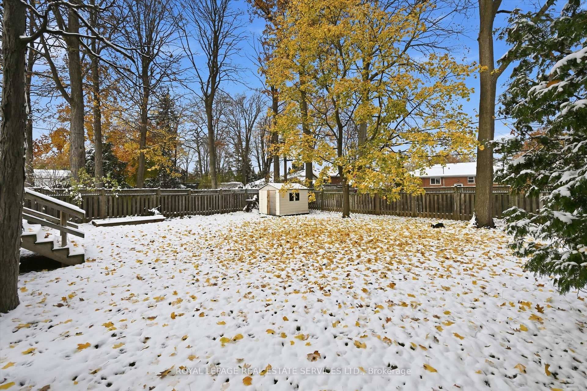 Shared Backyard Features Mature Trees