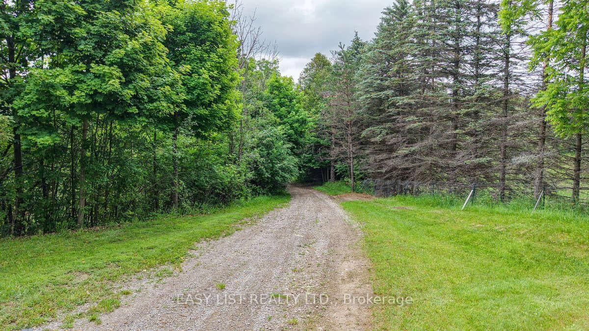 14877 The Gore Road photo 7