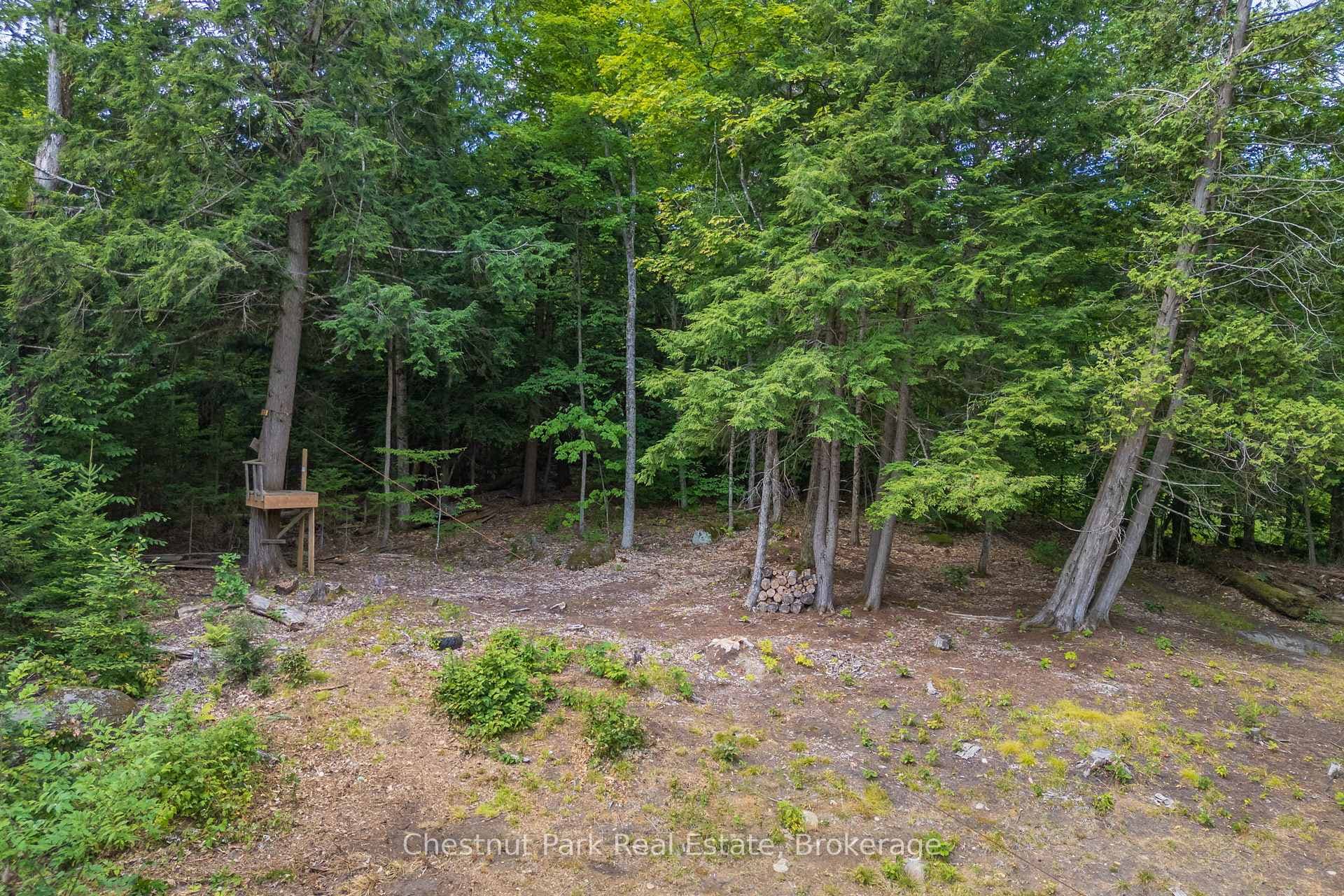 2698 Old Muskoka Road photo 32