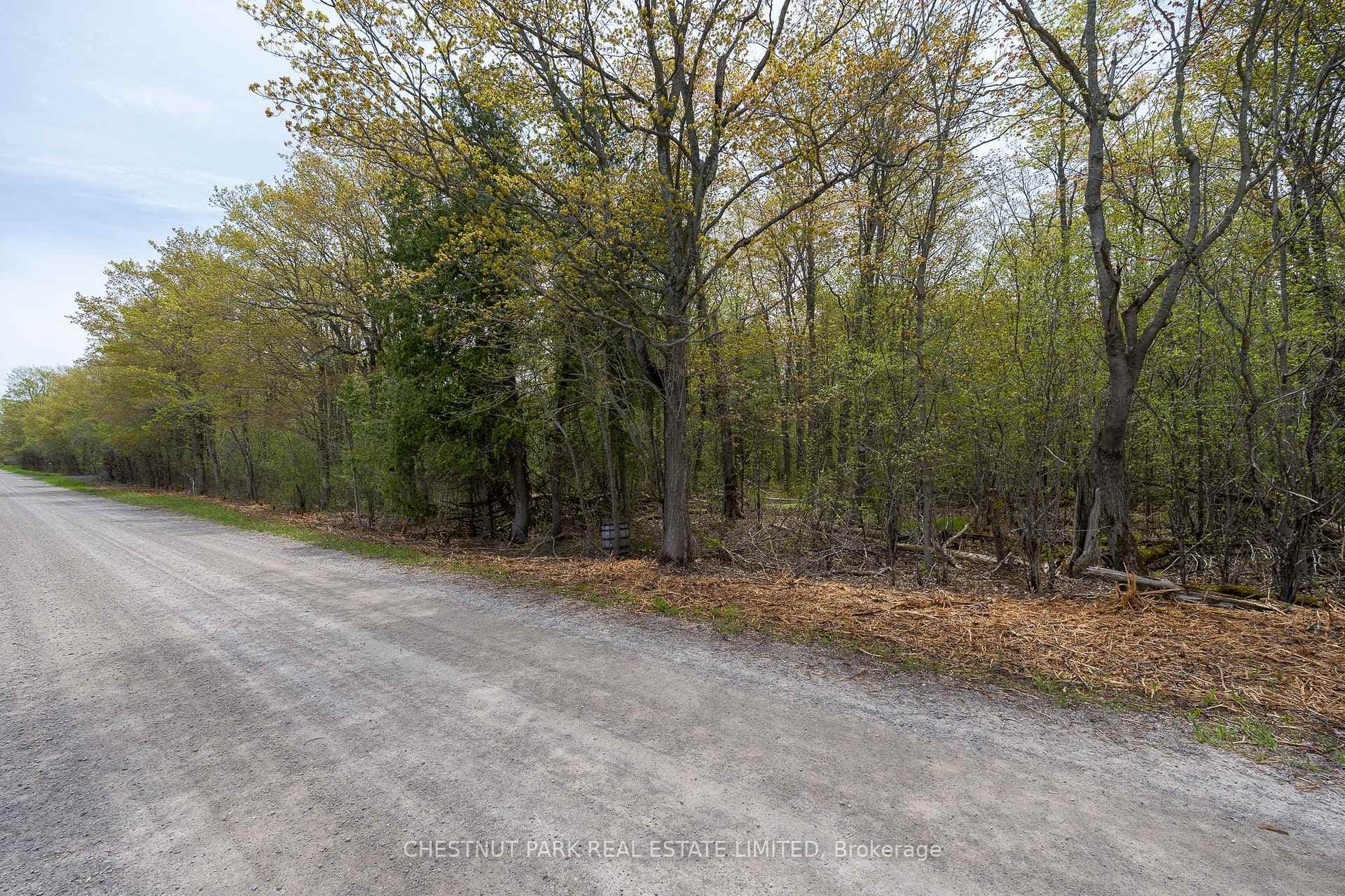 206 Simpson Road photo 22