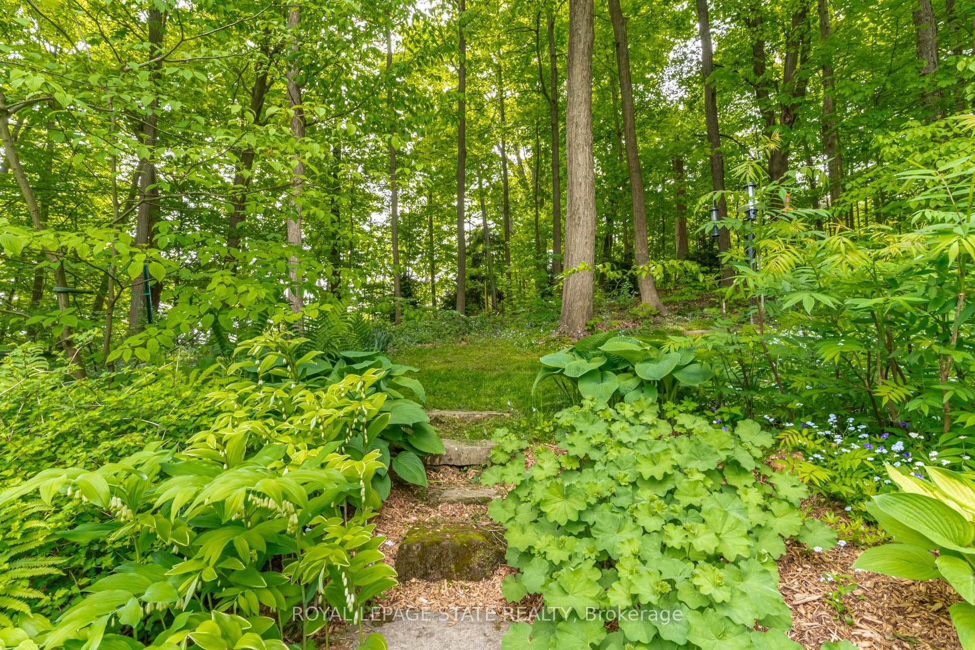 158 Sulphur Springs Road photo 48