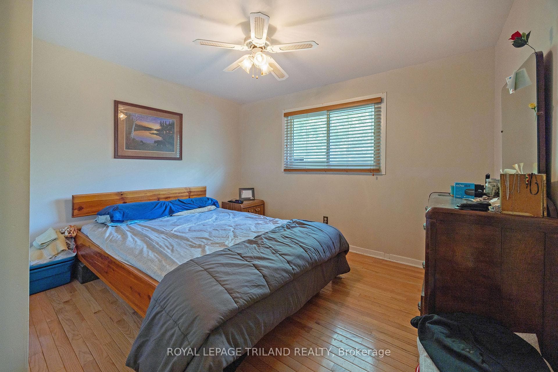 192 Myrtle Street photo 10