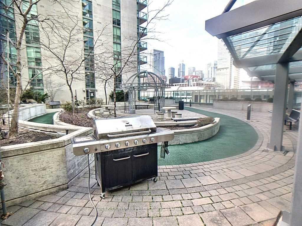 Rooftop Garden