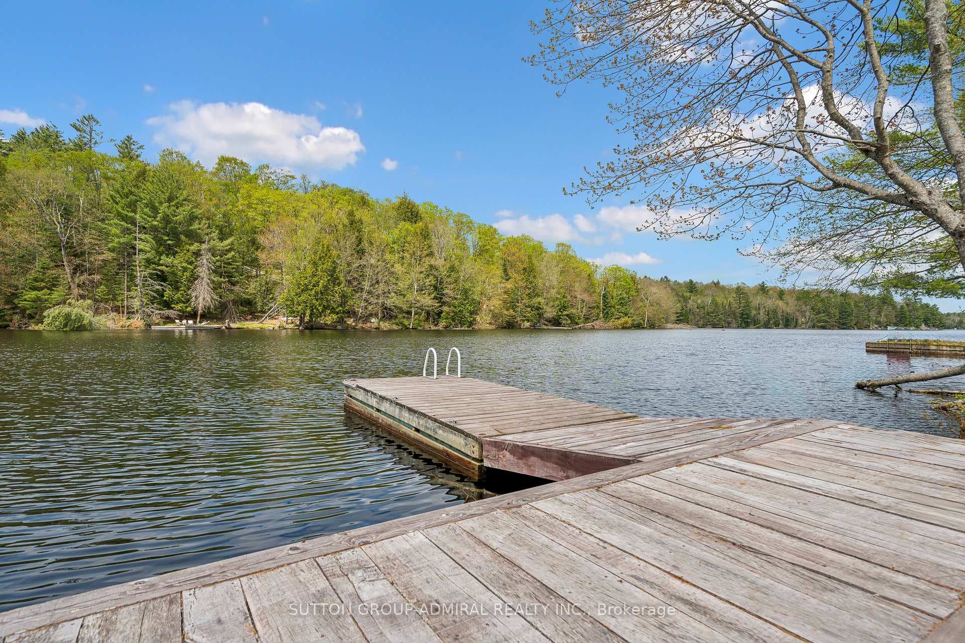 1023 Kirkpatrick Lane photo 44