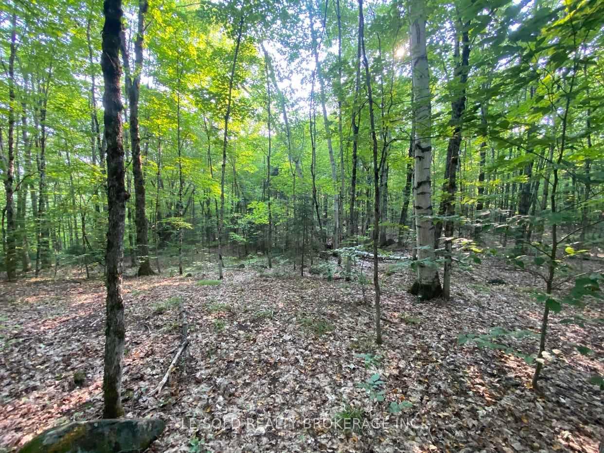 1310 Camel Lake Road Unit Lot # 7 photo 5