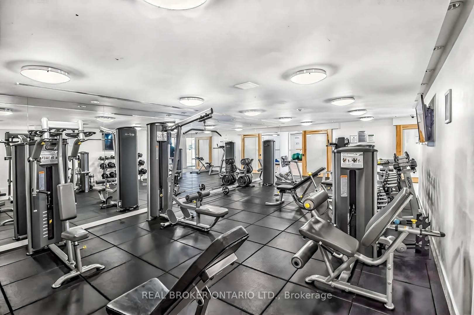 Gym - Weights Area.